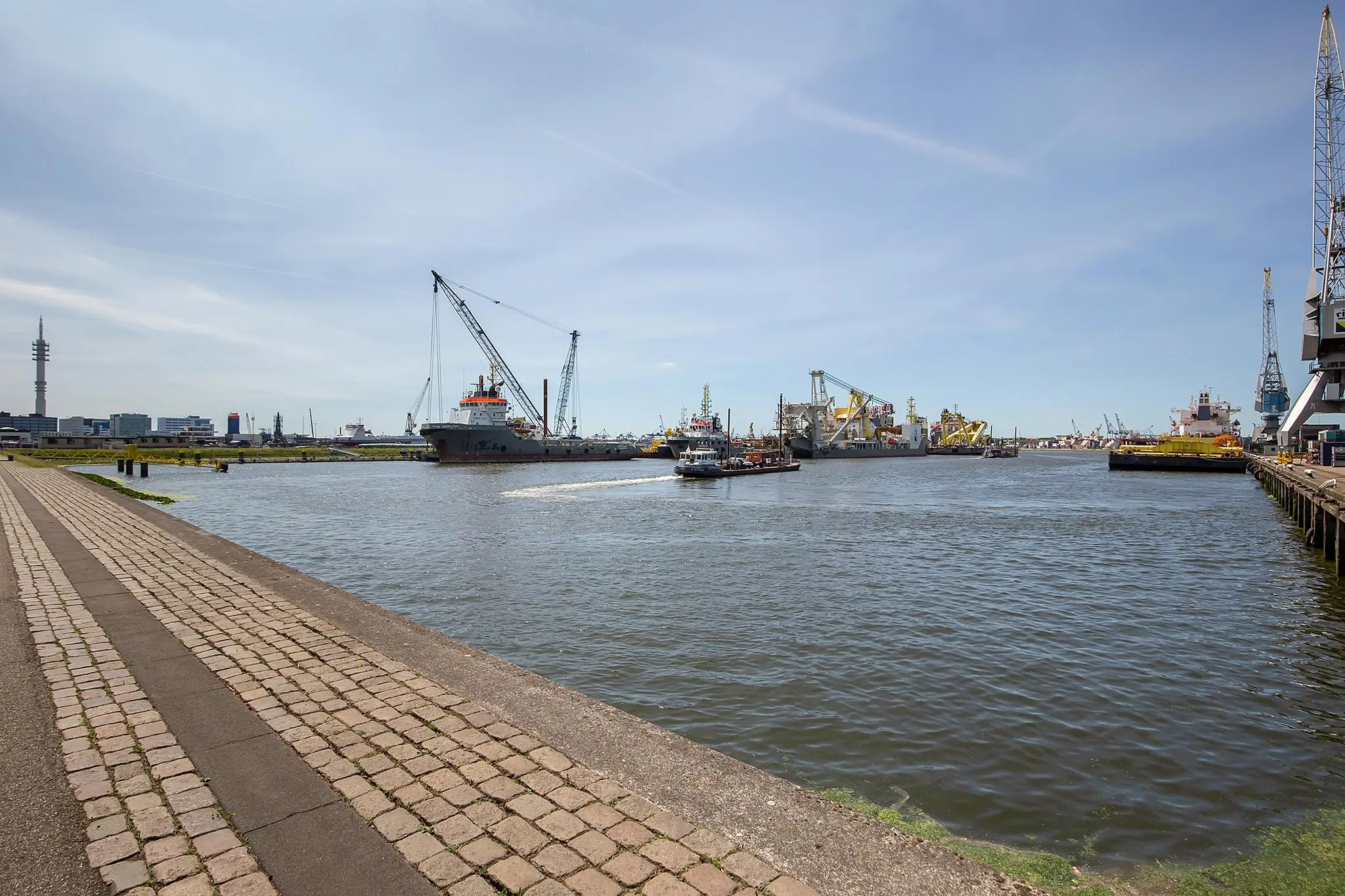 Zicht op de Waalhaven Oostzijde in Rotterdam met verschillende aangemeerde zeeschepen en kranen onder een heldere blauwe lucht.